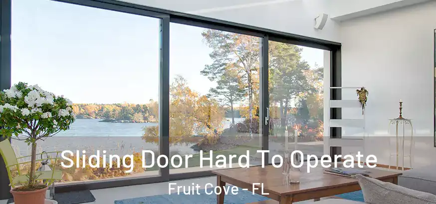  Sliding Door Hard To Operate Fruit Cove - FL
