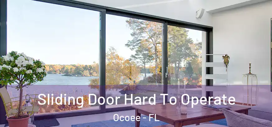 Sliding Door Hard To Operate Ocoee - FL
