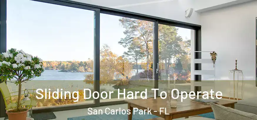  Sliding Door Hard To Operate San Carlos Park - FL