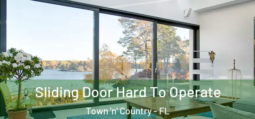  Sliding Door Hard To Operate Town 'n' Country - FL