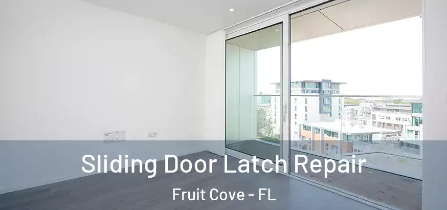  Sliding Door Latch Repair Fruit Cove - FL