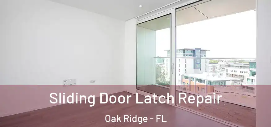  Sliding Door Latch Repair Oak Ridge - FL