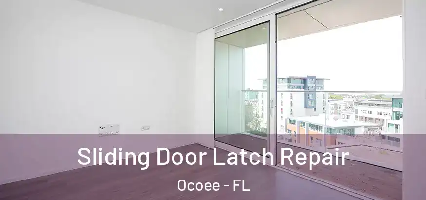  Sliding Door Latch Repair Ocoee - FL