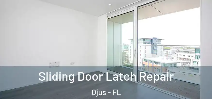  Sliding Door Latch Repair Ojus - FL
