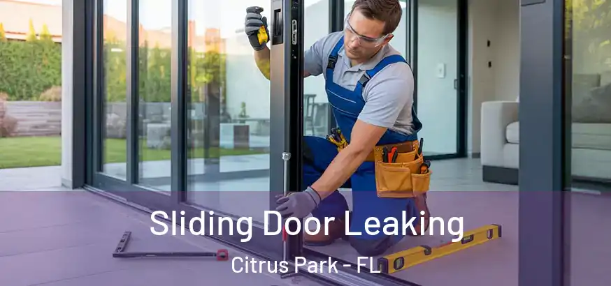  Sliding Door Leaking Citrus Park - FL