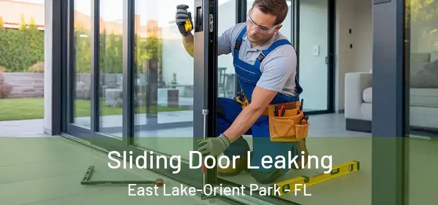  Sliding Door Leaking East Lake-Orient Park - FL