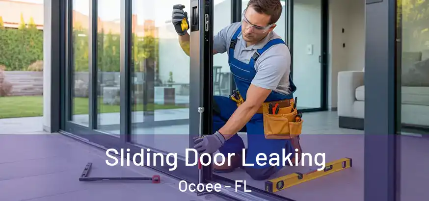  Sliding Door Leaking Ocoee - FL