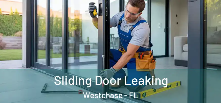  Sliding Door Leaking Westchase - FL
