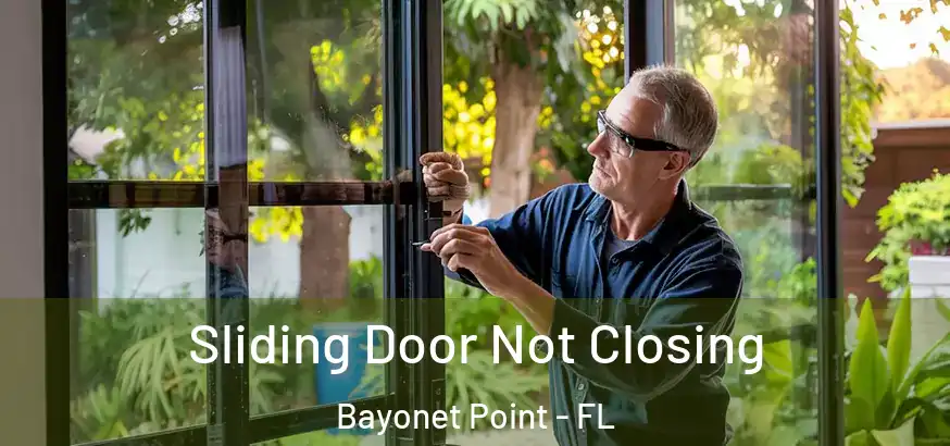  Sliding Door Not Closing Bayonet Point - FL