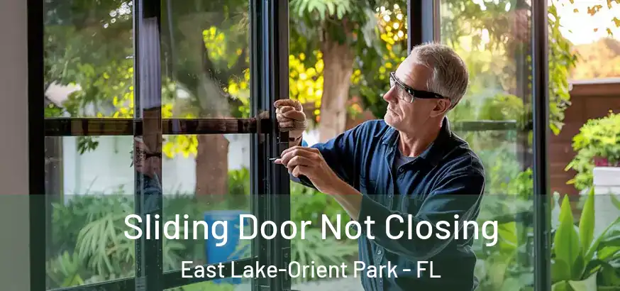  Sliding Door Not Closing East Lake-Orient Park - FL