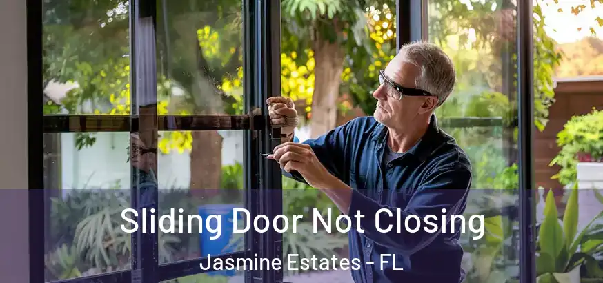  Sliding Door Not Closing Jasmine Estates - FL