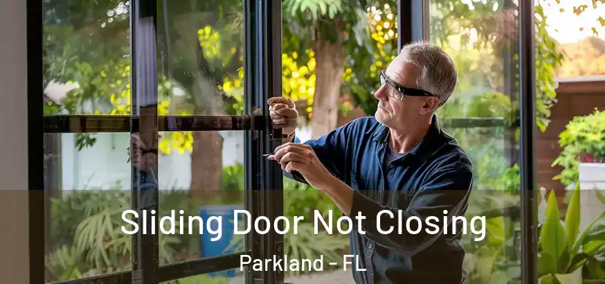  Sliding Door Not Closing Parkland - FL