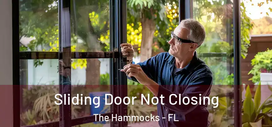 Sliding Door Not Closing The Hammocks - FL