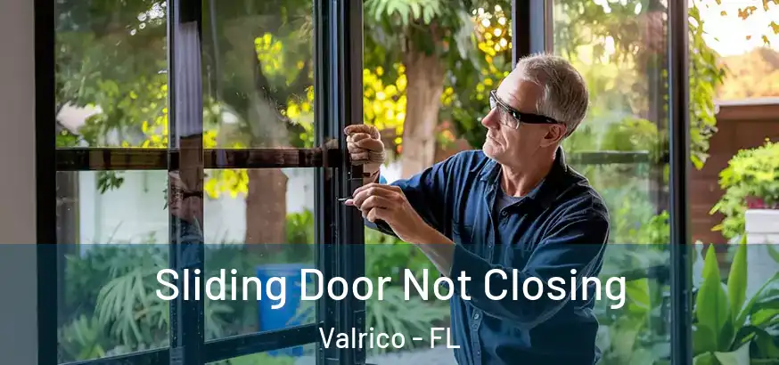  Sliding Door Not Closing Valrico - FL