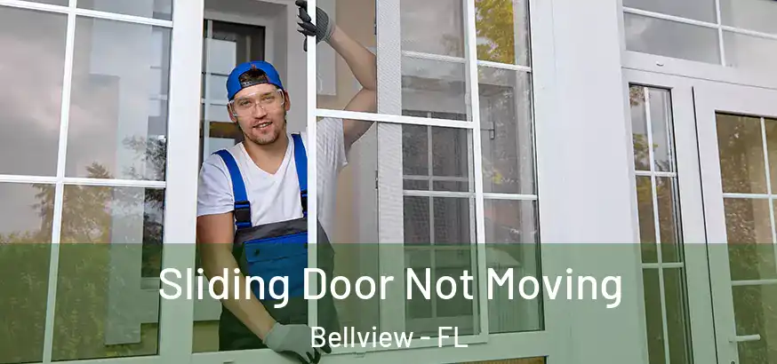  Sliding Door Not Moving Bellview - FL