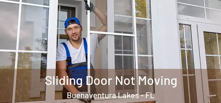  Sliding Door Not Moving Buenaventura Lakes - FL