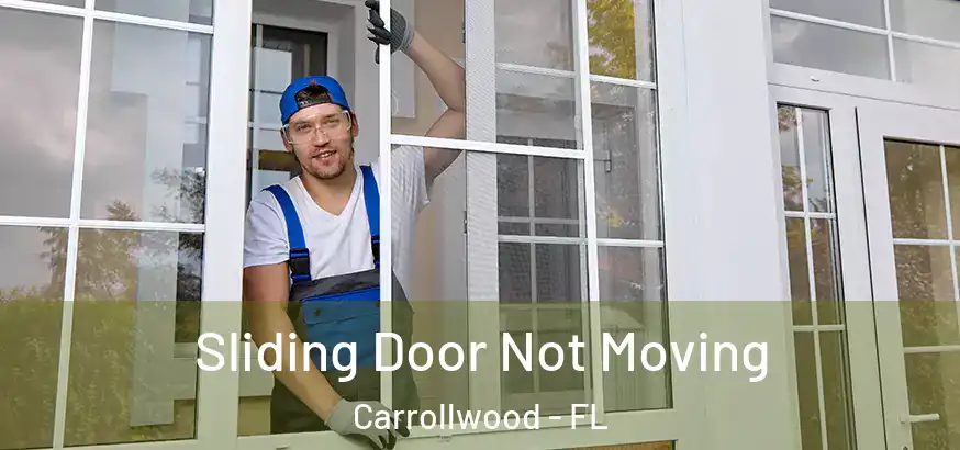 Sliding Door Not Moving Carrollwood - FL