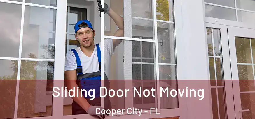  Sliding Door Not Moving Cooper City - FL