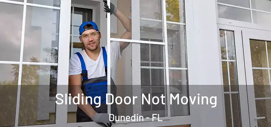  Sliding Door Not Moving Dunedin - FL