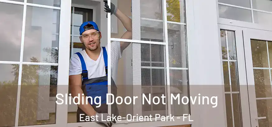  Sliding Door Not Moving East Lake-Orient Park - FL