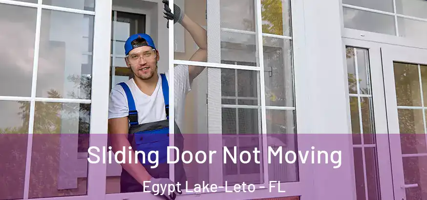  Sliding Door Not Moving Egypt Lake-Leto - FL