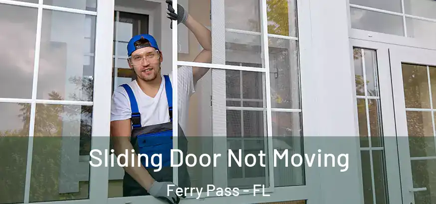  Sliding Door Not Moving Ferry Pass - FL