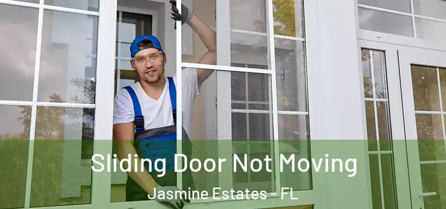  Sliding Door Not Moving Jasmine Estates - FL