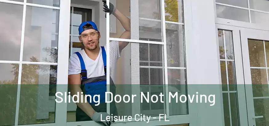  Sliding Door Not Moving Leisure City - FL