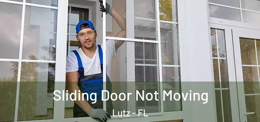  Sliding Door Not Moving Lutz - FL