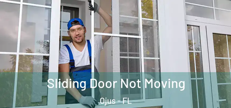  Sliding Door Not Moving Ojus - FL