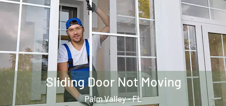  Sliding Door Not Moving Palm Valley - FL