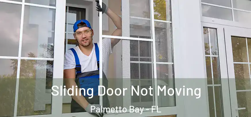  Sliding Door Not Moving Palmetto Bay - FL