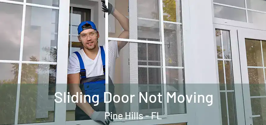 Sliding Door Not Moving Pine Hills - FL