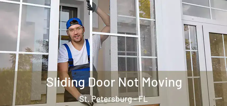  Sliding Door Not Moving St. Petersburg - FL