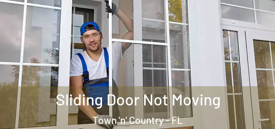  Sliding Door Not Moving Town 'n' Country - FL