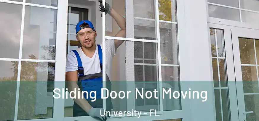  Sliding Door Not Moving University - FL