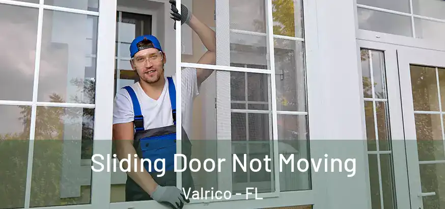  Sliding Door Not Moving Valrico - FL