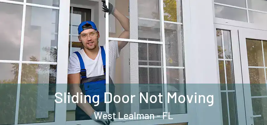 Sliding Door Not Moving West Lealman - FL