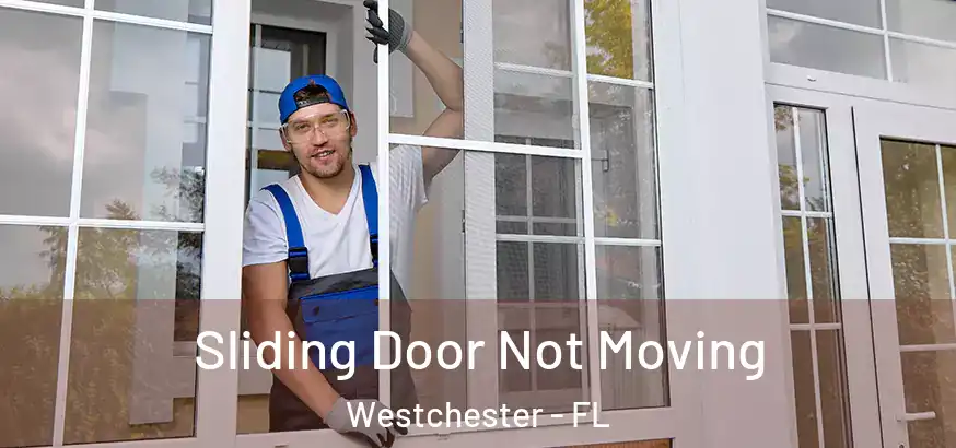 Sliding Door Not Moving Westchester - FL