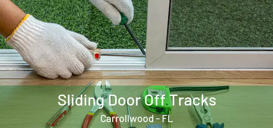  Sliding Door Off Tracks Carrollwood - FL