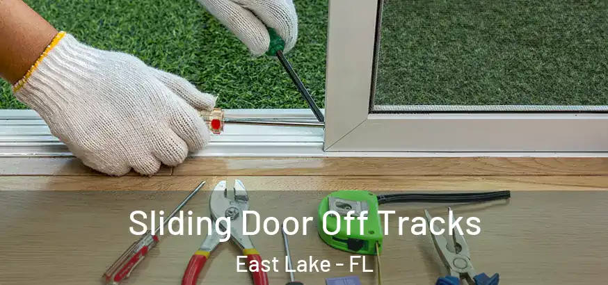  Sliding Door Off Tracks East Lake - FL