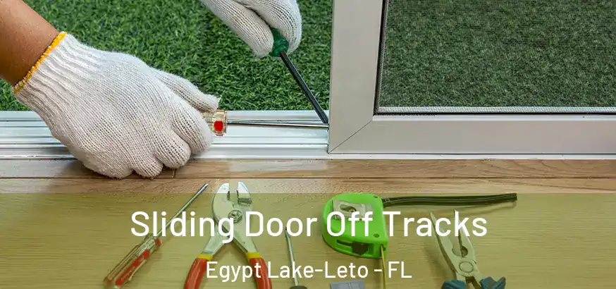  Sliding Door Off Tracks Egypt Lake-Leto - FL
