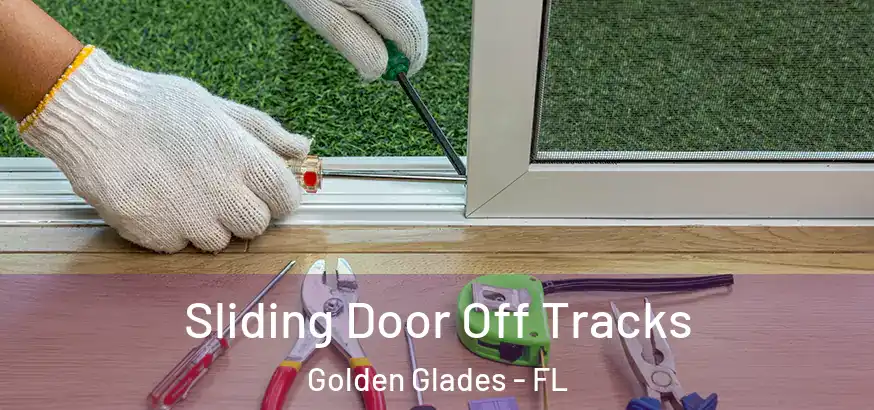  Sliding Door Off Tracks Golden Glades - FL