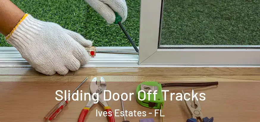  Sliding Door Off Tracks Ives Estates - FL