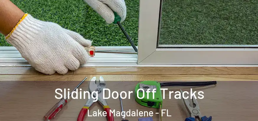 Sliding Door Off Tracks Lake Magdalene - FL