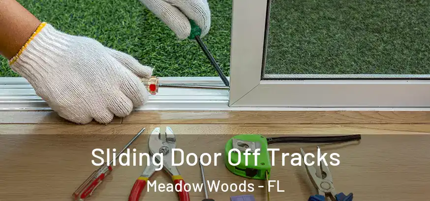Sliding Door Off Tracks Meadow Woods - FL