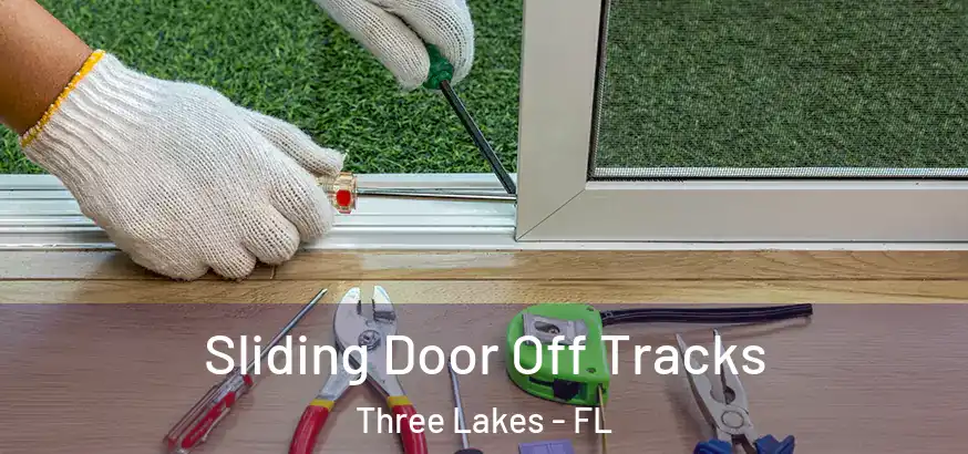  Sliding Door Off Tracks Three Lakes - FL