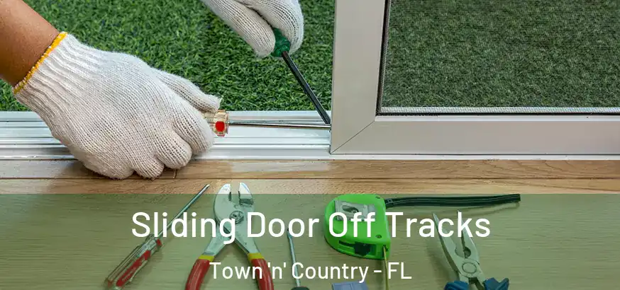  Sliding Door Off Tracks Town 'n' Country - FL