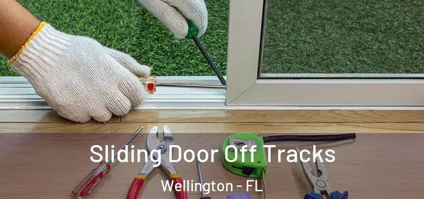  Sliding Door Off Tracks Wellington - FL