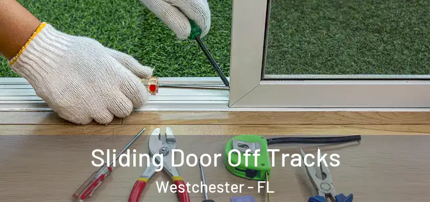 Sliding Door Off Tracks Westchester - FL